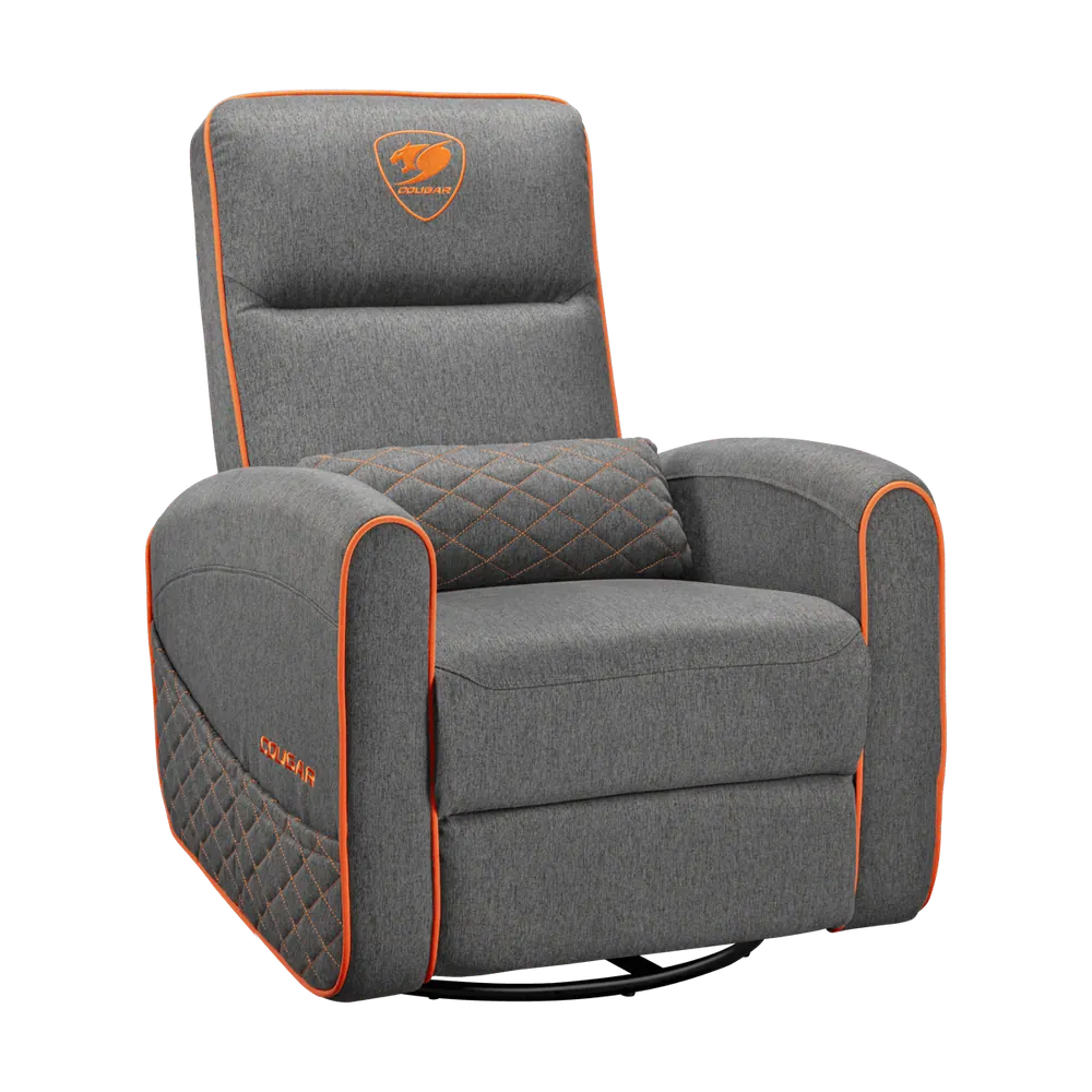 Cougar FIDOM, coloris gris