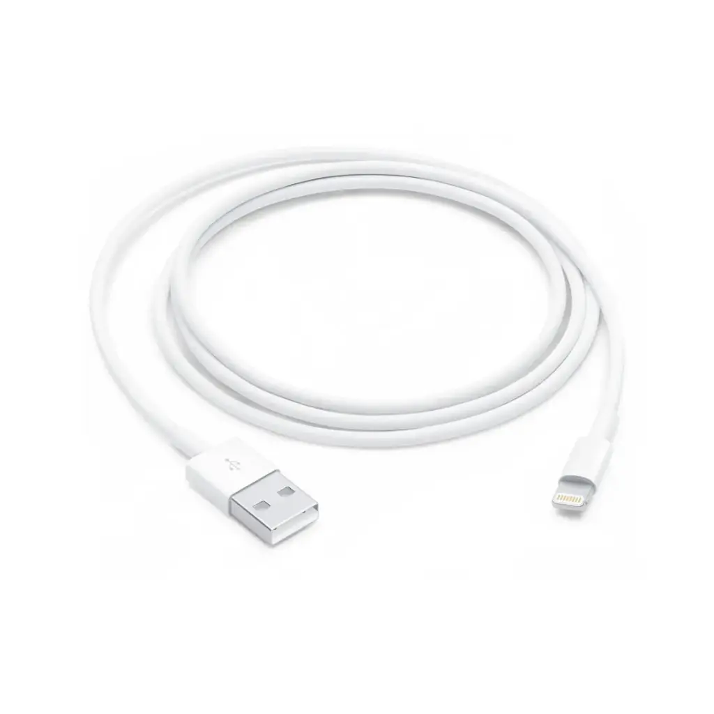 Câble Apple Lightning vers USB (1 m)
