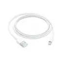 Câble Apple Lightning vers USB (1 m)