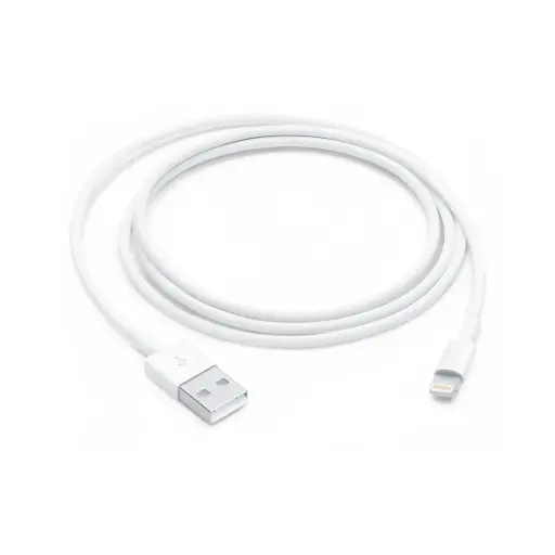 Câble Apple Lightning vers USB (1 m)